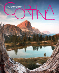 cover Wonder Cortina 13