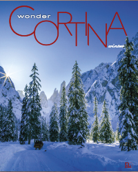 cover Wonder Cortina 14
