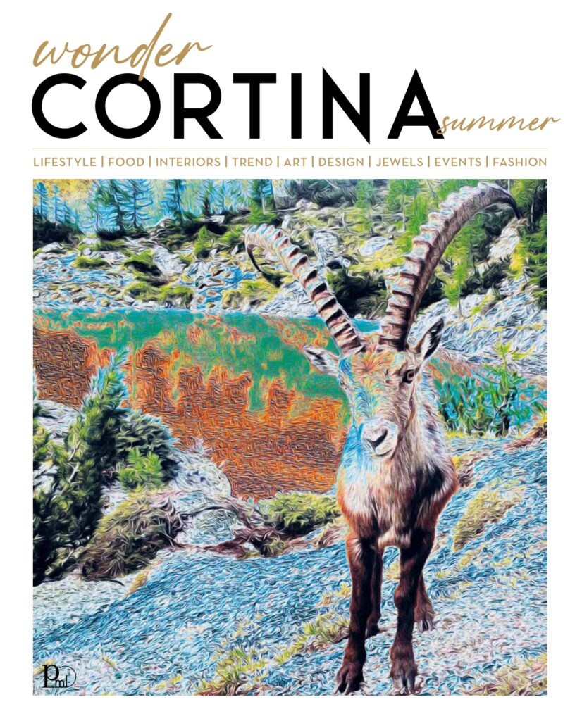 Wonder Cortina 21 - Summer 2025 Wonder Cortina 21 - Summer 2025